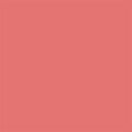 Rose Bird 009