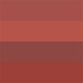 Timeless Nude Brown Quad