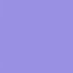 Plum Blossom