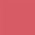 Honey Coral