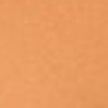 04 Warm Medium Tan