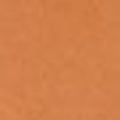 05 Neutral Tan