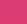 02 Cosmos Pink