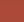 03 Calendula Rust
