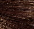 Dark Brown 3.0