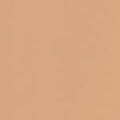 Neutral Light