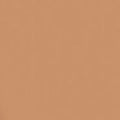 Warm Beige