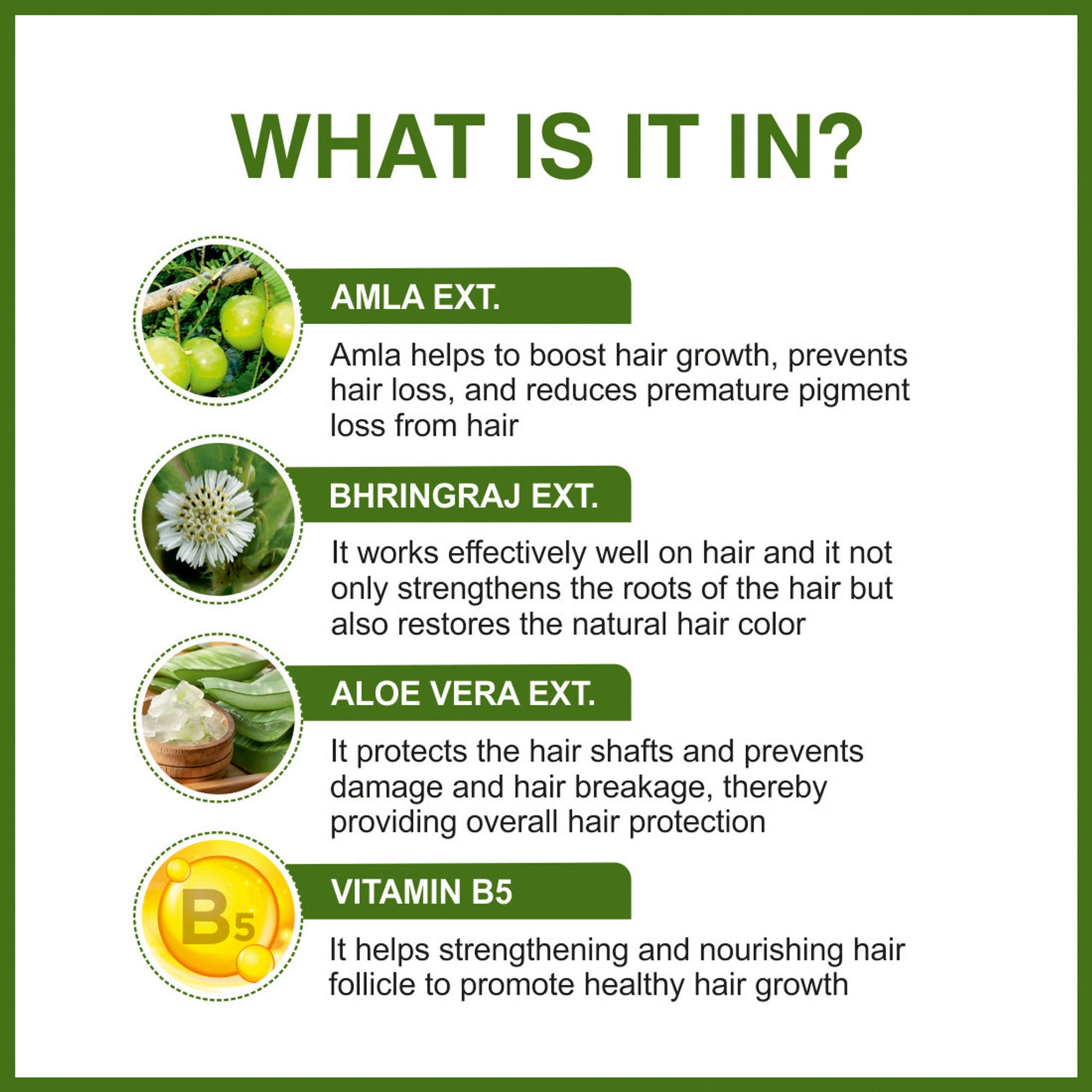 She Essentials Amla Bhringraj Hair Shampoo For Anti Dandruff, Growth - Men & Women