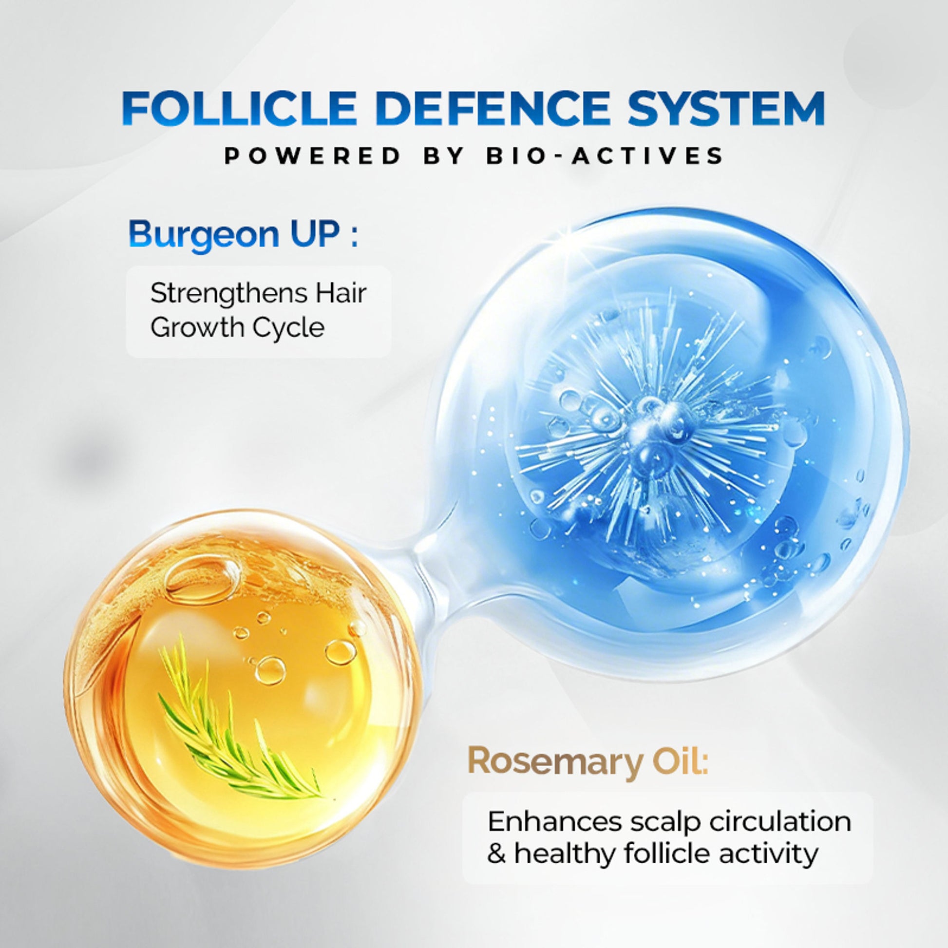 Streax Professional Anti Hairfall Shampoo with Rosemary for Hair Fall Control & Stronger Hair
