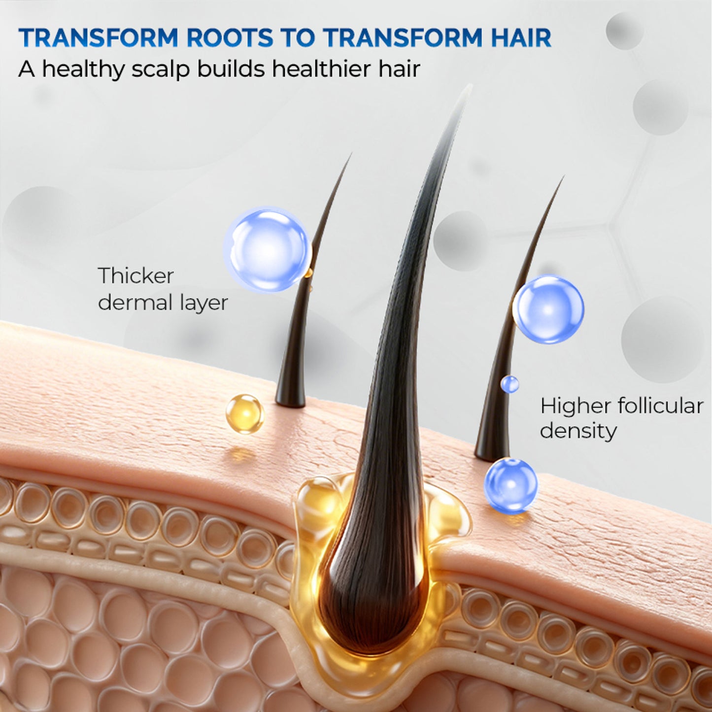 Streax Professional Anti Hairfall Shampoo with Rosemary for Hair Fall Control & Stronger Hair