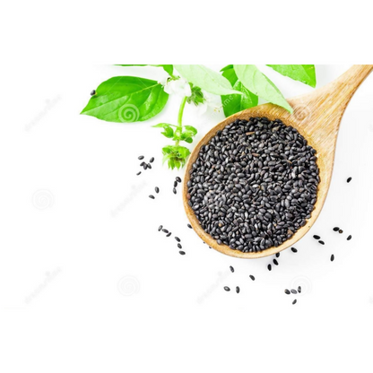 FreshoCartz Basil Seeds