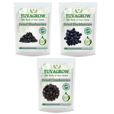 Yuvagrow Super Berries Combo