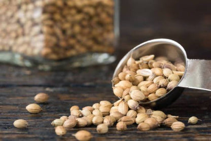 Freshon Coriander Whole Premium