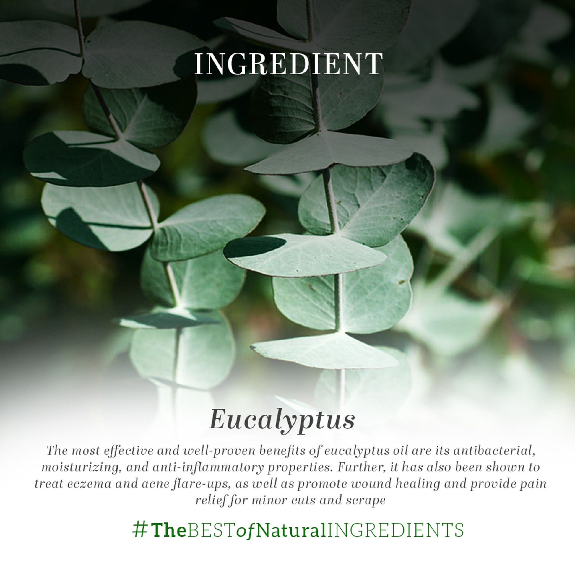 Khadi Natural Eucalyptus Essential Oil Cures Migraines