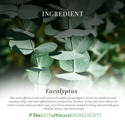 Khadi Natural Eucalyptus Essential Oil Cures Migraines