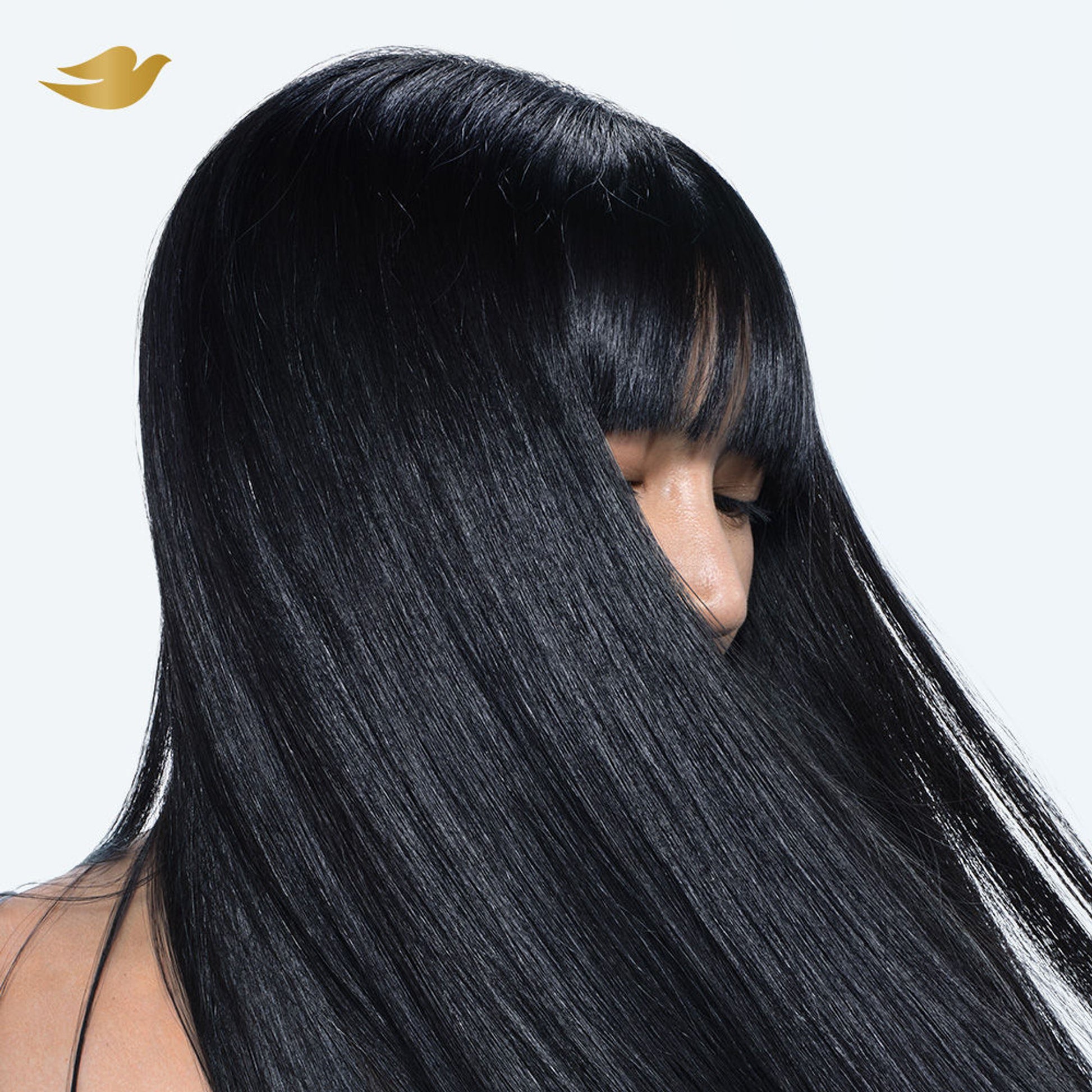 Dove Daily Therapy Shampoo