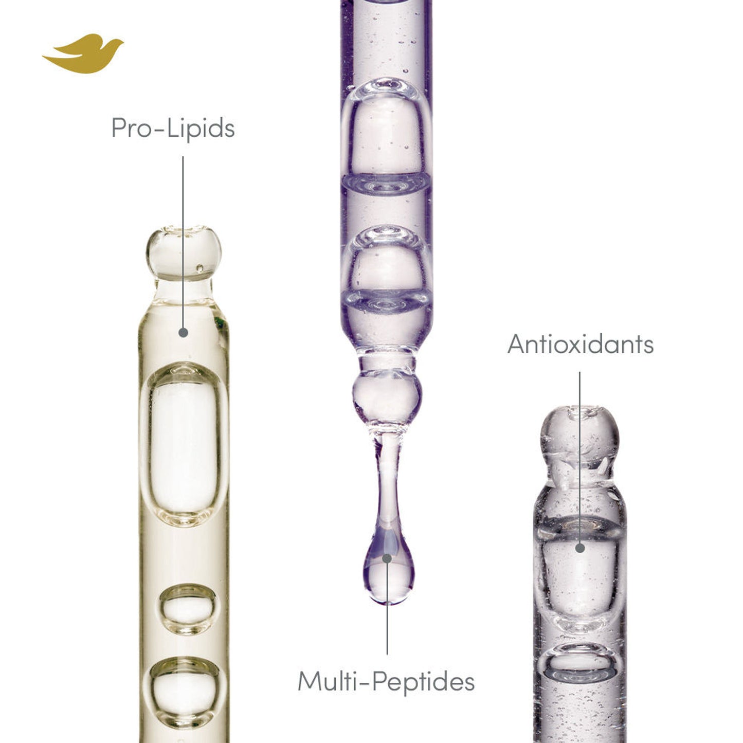 Dove Scalp + Hair Therapy Density Boost Reinforcing Hair Day Serum