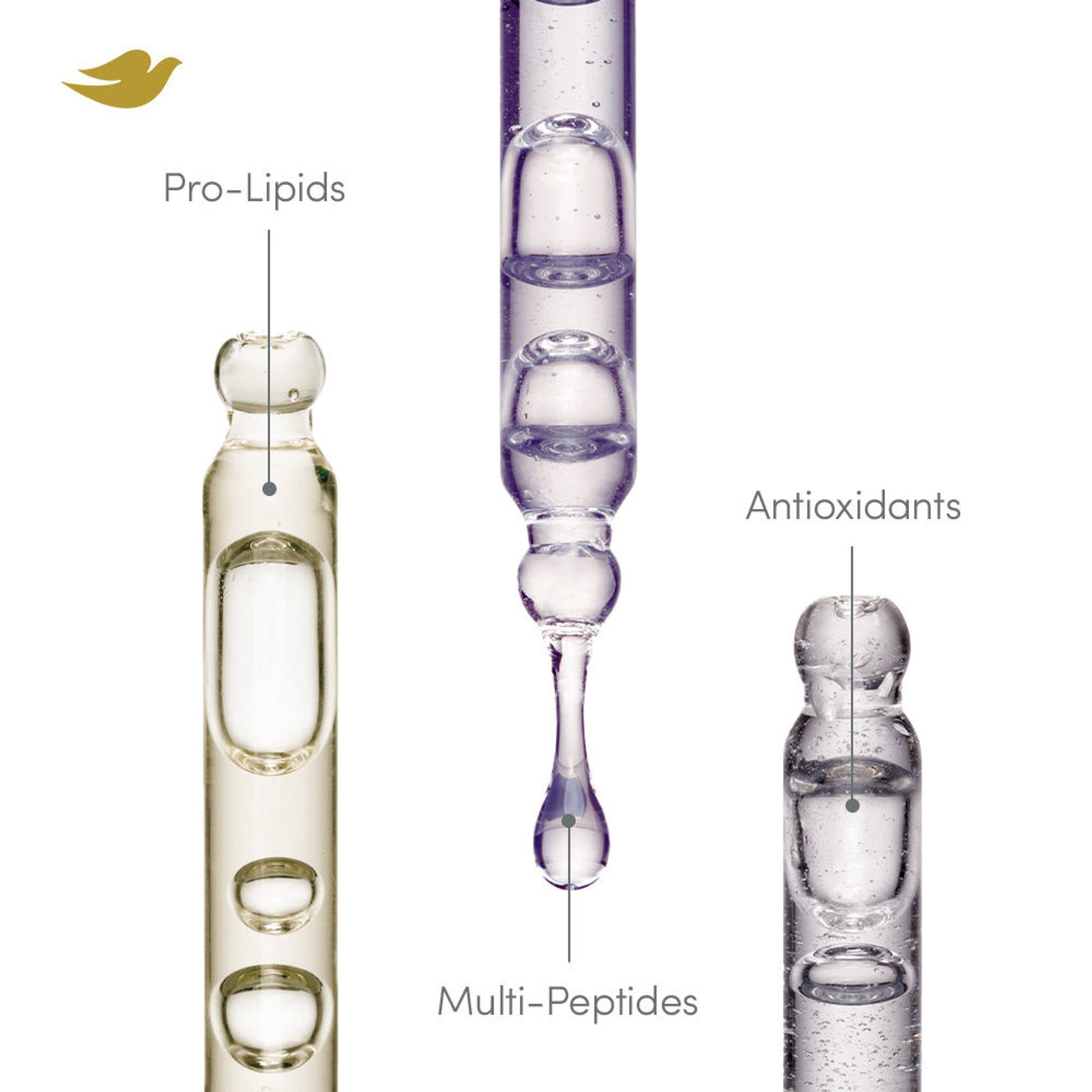 Dove Scalp + Hair Therapy Density Boost Reinforcing Hair Day Serum