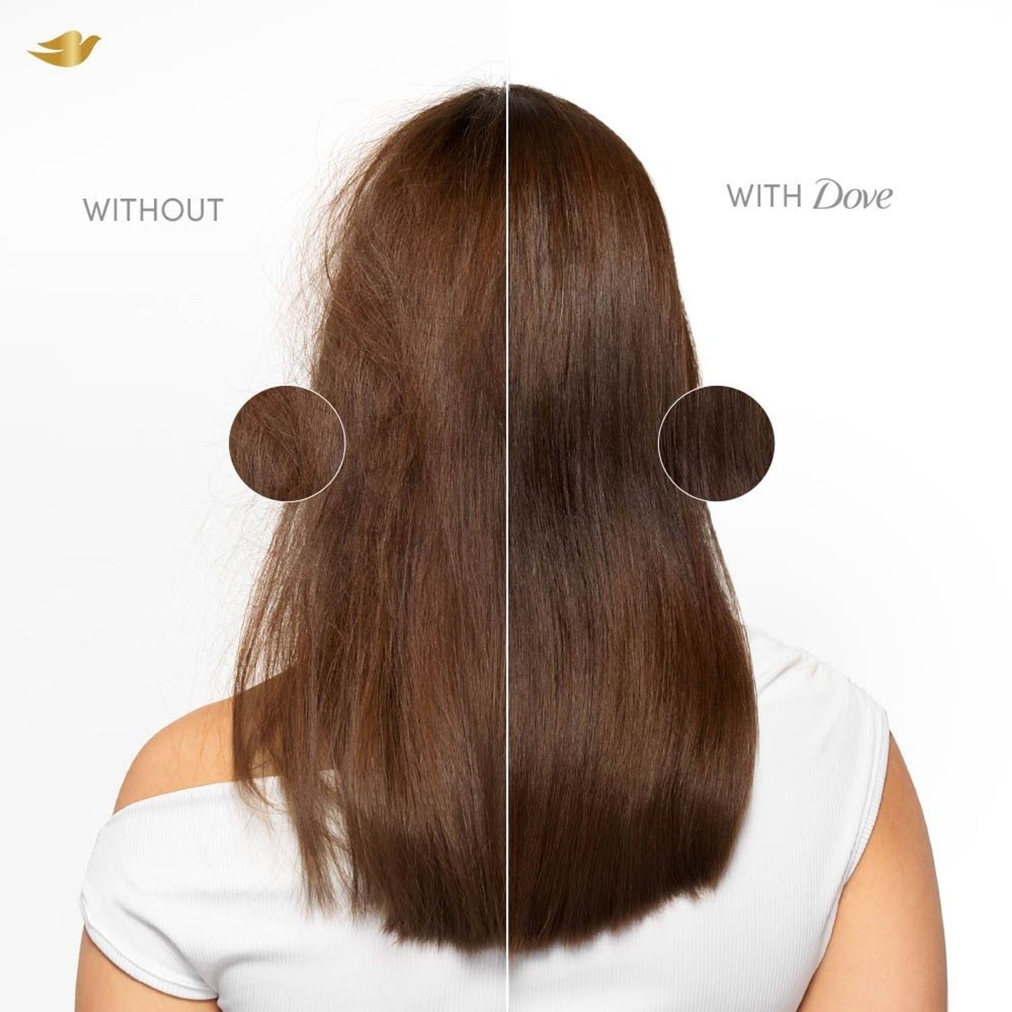 Dove Peptide Bond Strength Shampoo