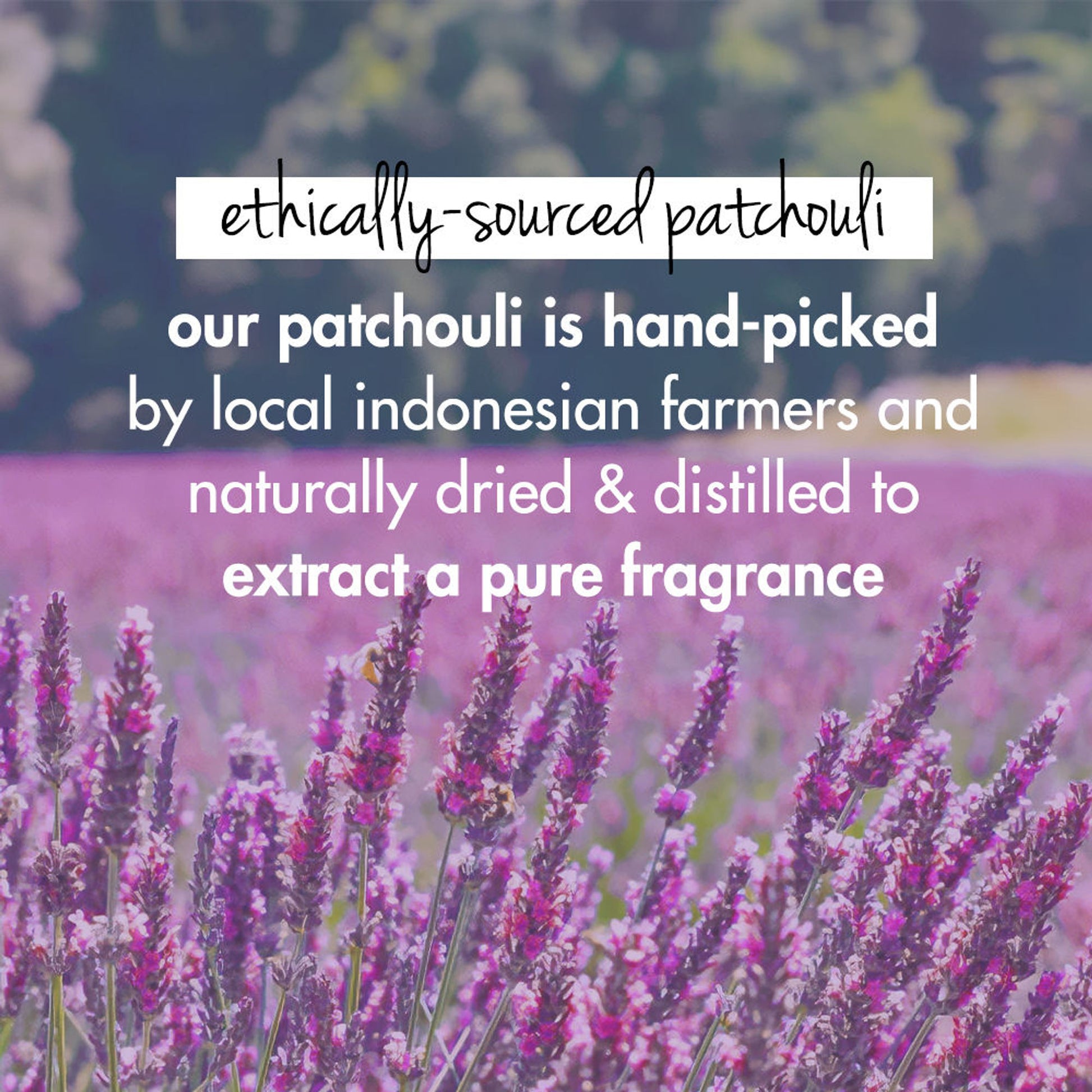 Love Beauty & Planet Onion, Black Seed & Patchouli Hair Mask For Hair Fall Control