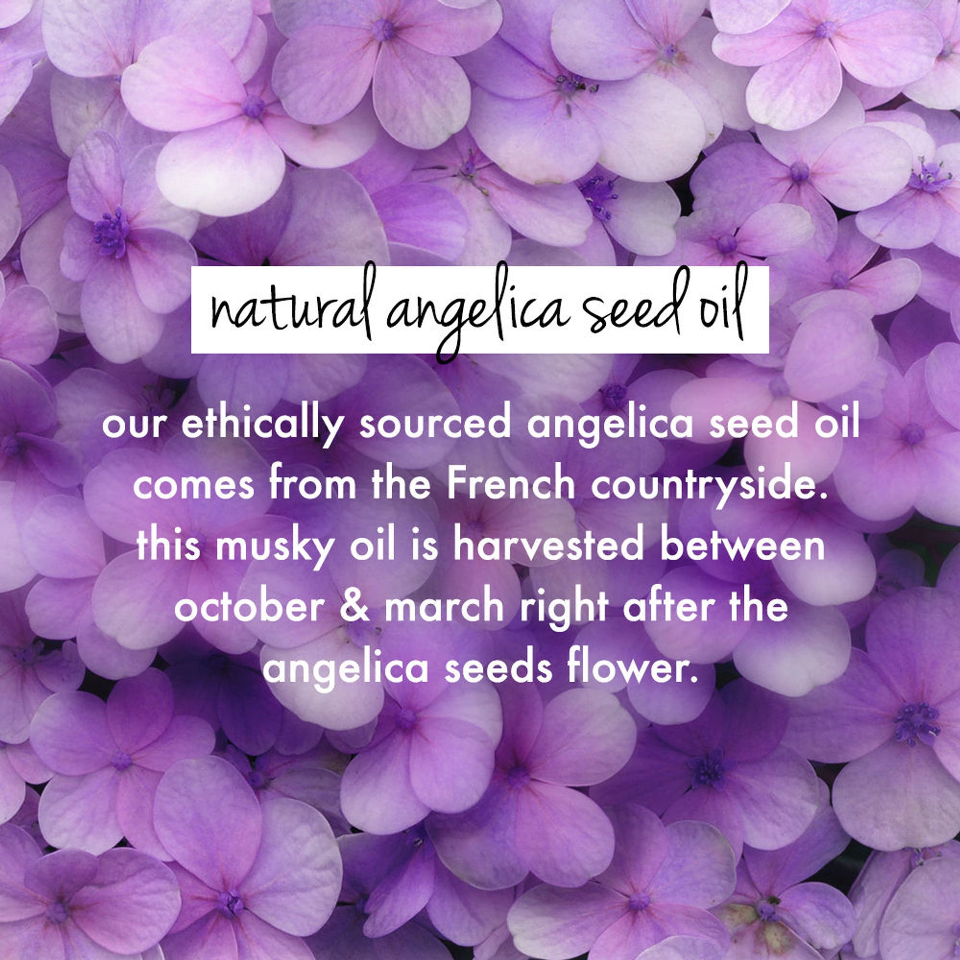Love Beauty & Planet Rice Water & Angelica Seed Oil Hair Mask For Curly And Wavy Hair