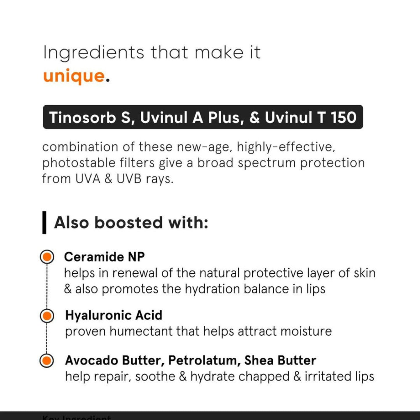 Minimalist SPF 30 Lip Balm