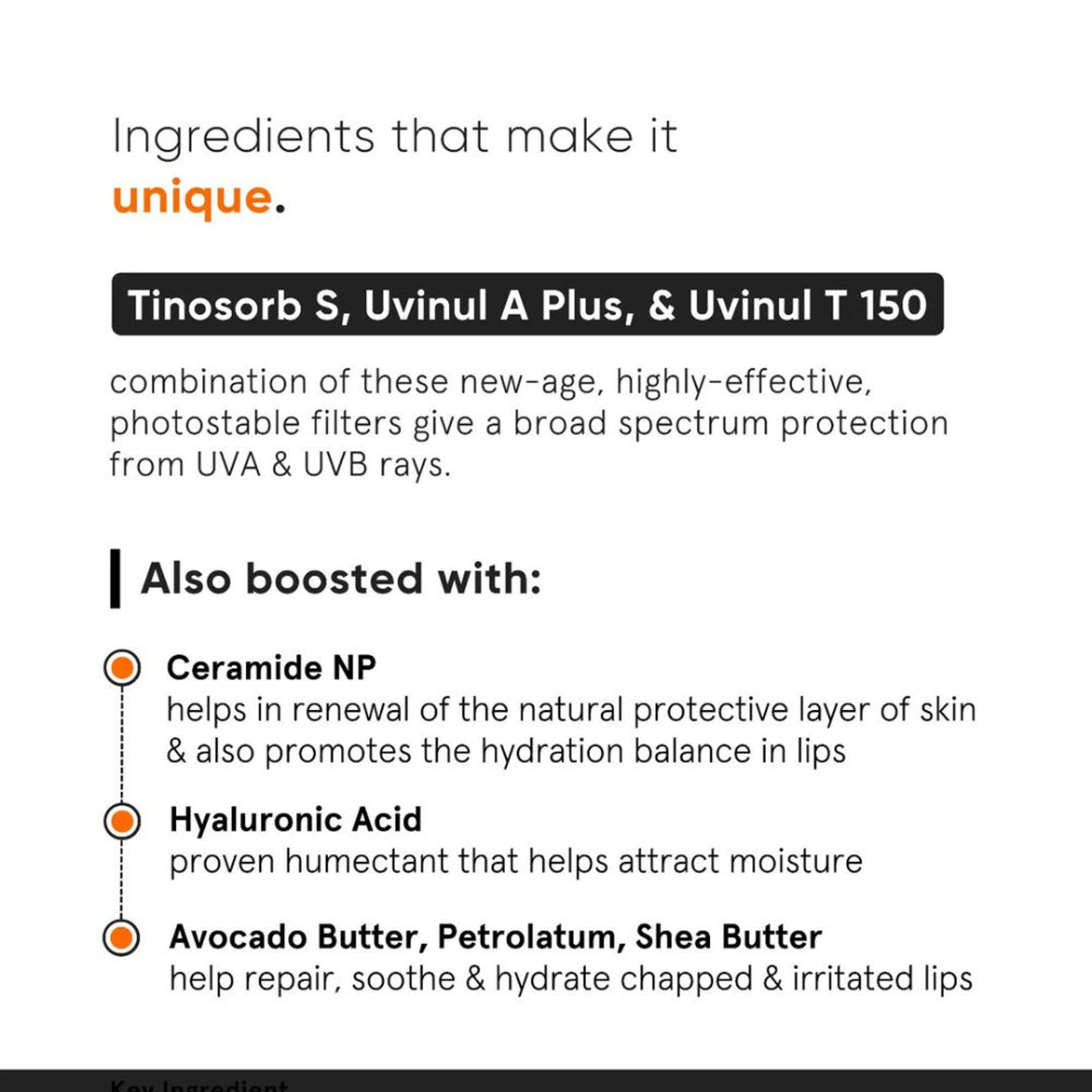 Minimalist SPF 30 Lip Balm