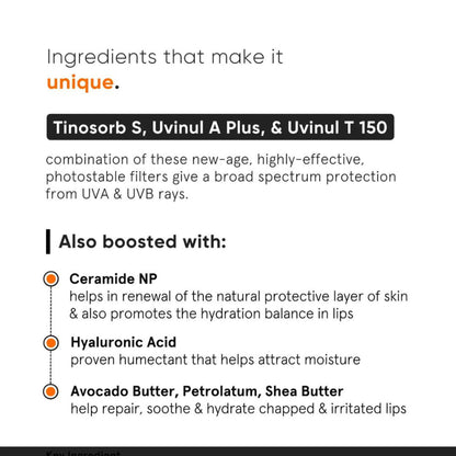 Minimalist SPF 30 Lip Balm