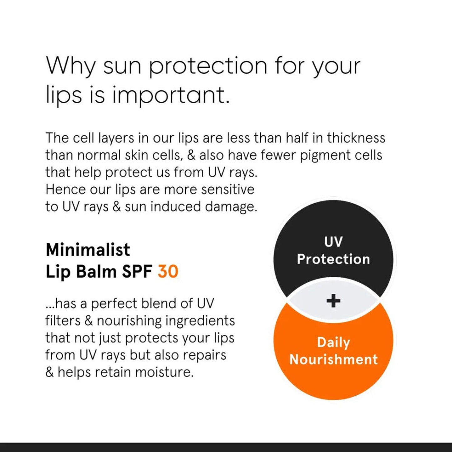 Minimalist SPF 30 Lip Balm