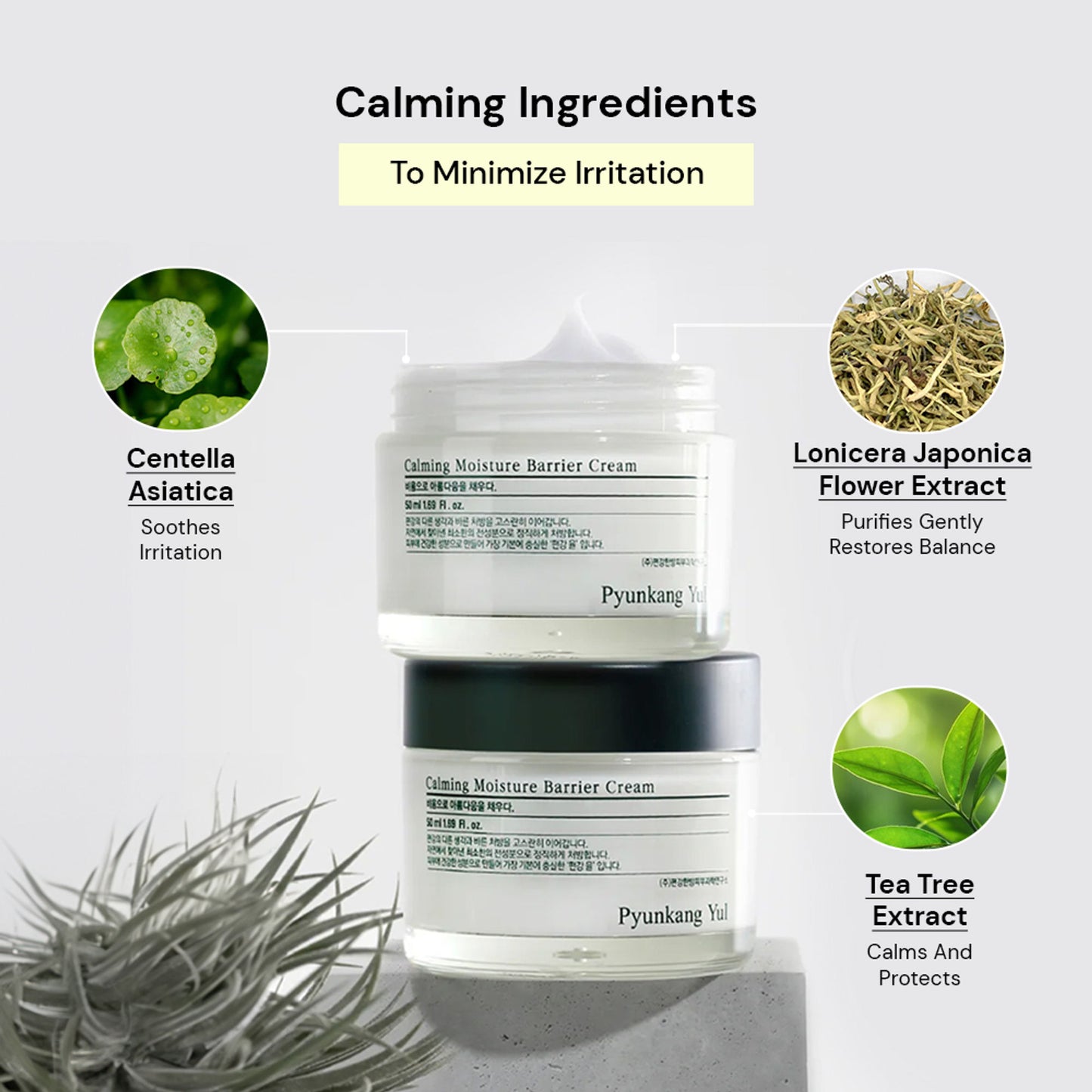 Pyunkang Yul Calming Moisture Barrier Cream