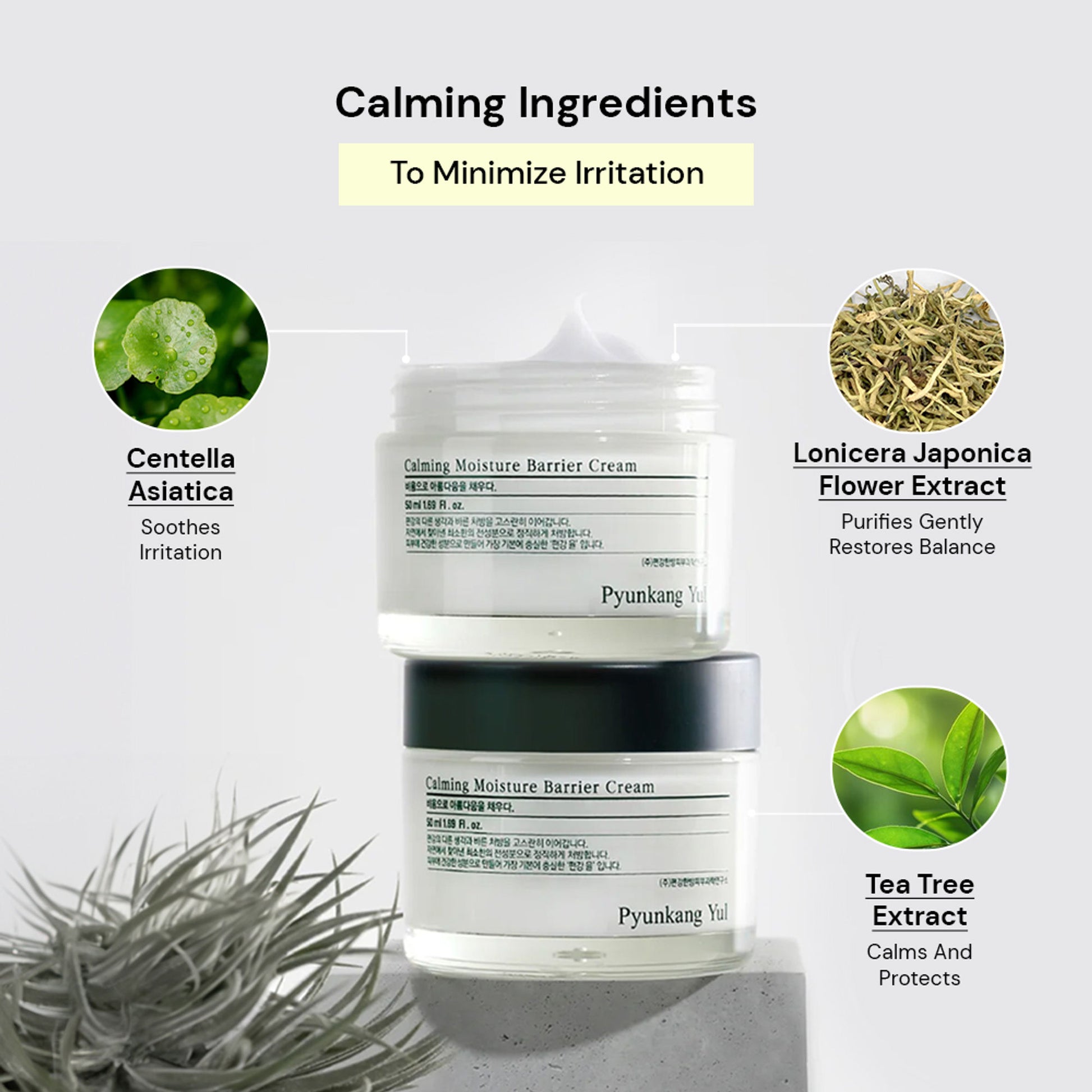 Pyunkang Yul Calming Moisture Barrier Cream