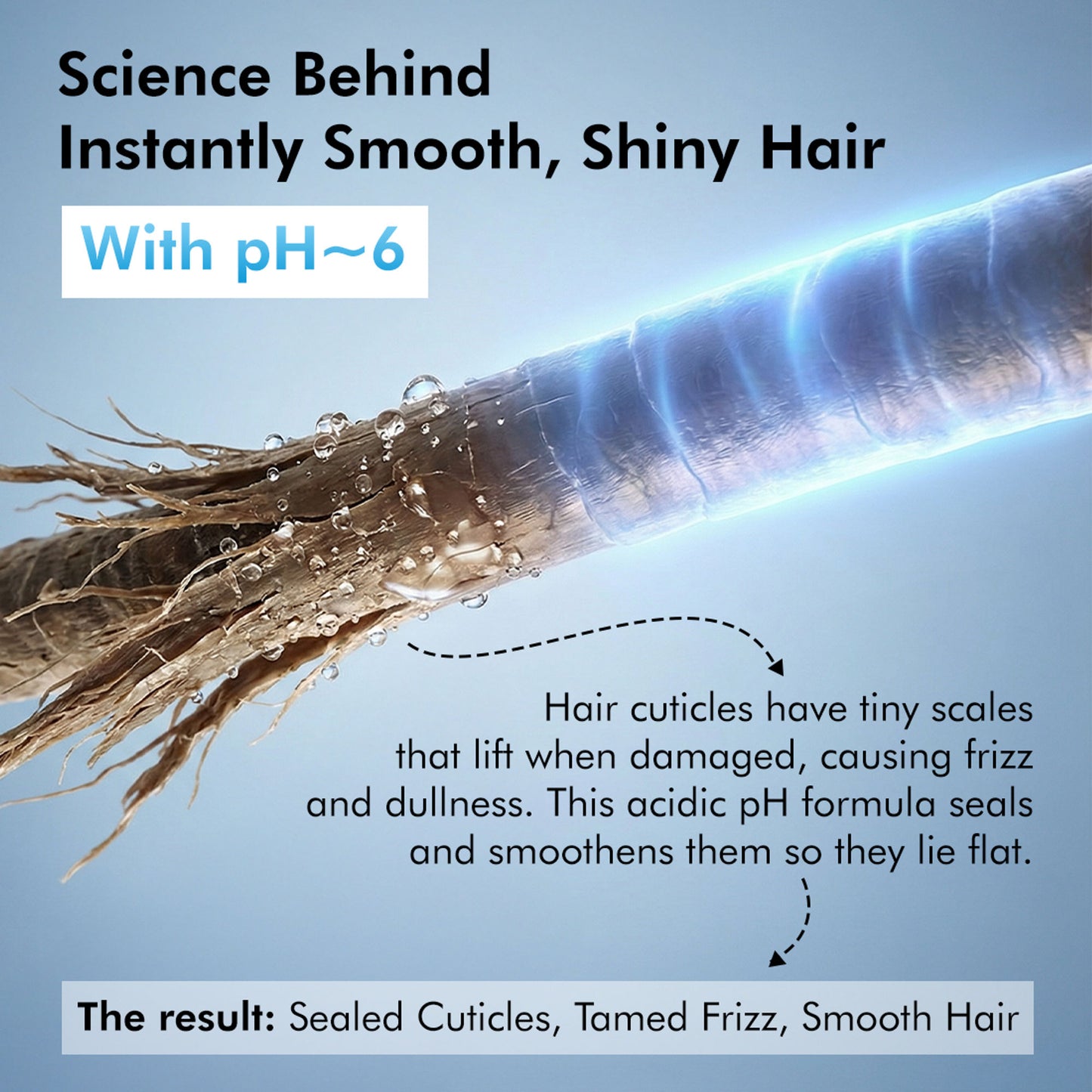 MCaffeine Glossy Hair Shampoo, 3% Shine Complex, Shinier Hair in 1 Use, 48Hr Frizz Control