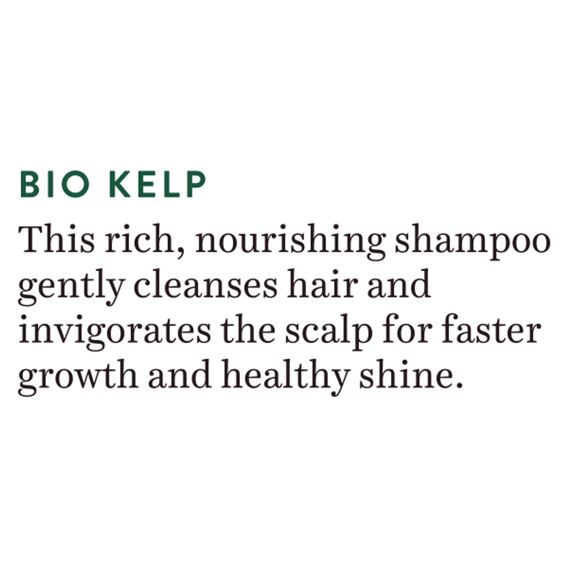 Biotique Bio Kelp Protein Shampoo for Falling Hair Growth Treatment