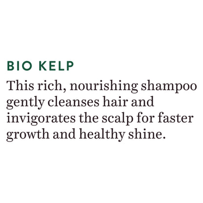 Biotique Bio Kelp Protein Shampoo for Falling Hair Growth Treatment