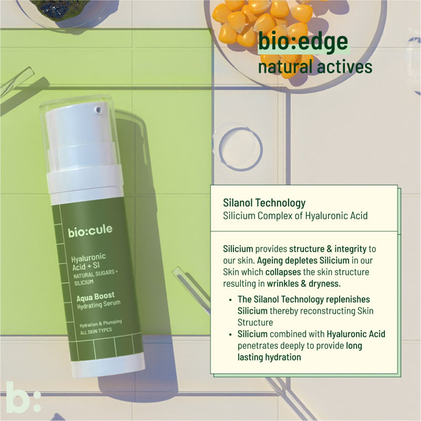Biocule Aqua Boost Hydrating Face Serum - For All Skin Types