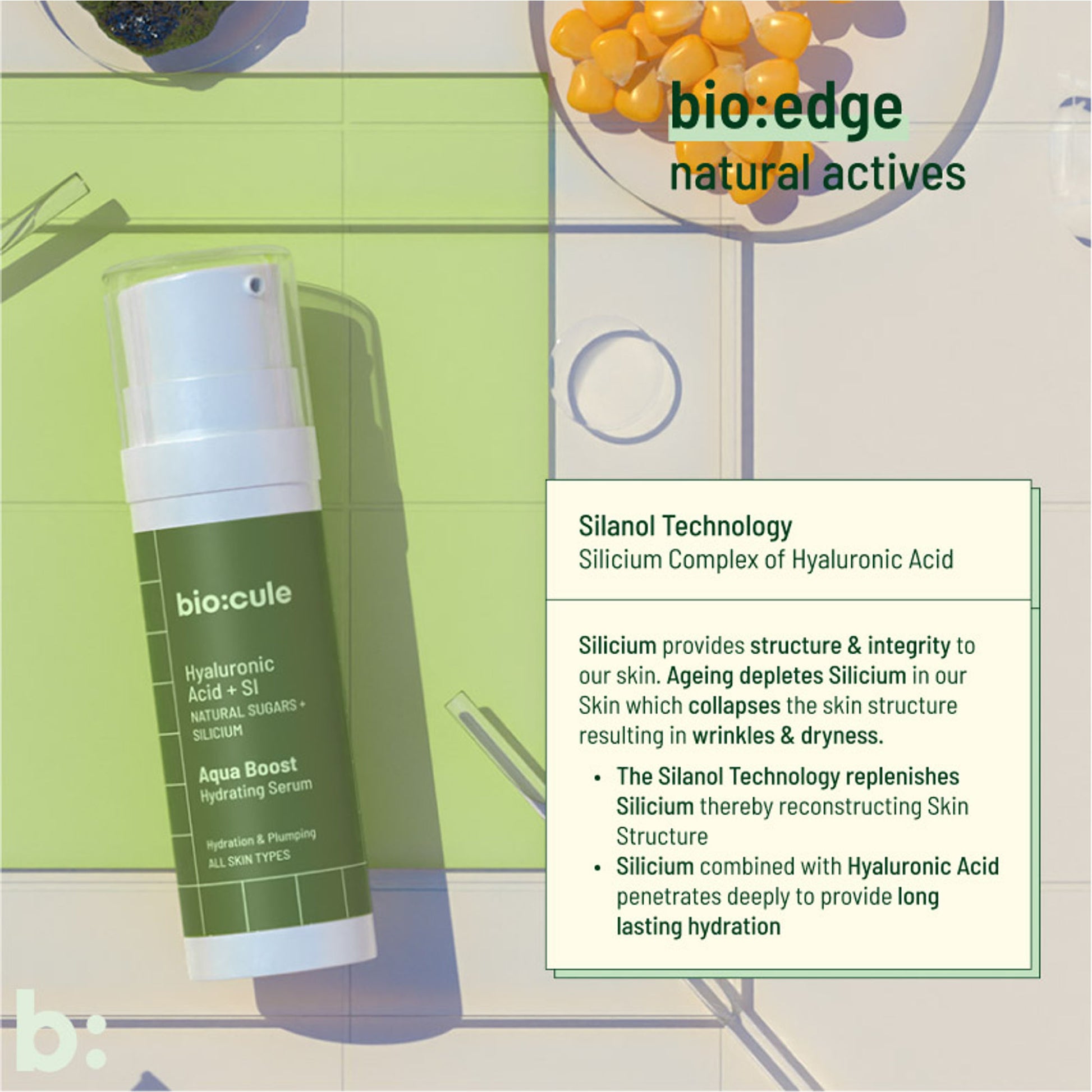 Biocule Aqua Boost Hydrating Face Serum - For All Skin Types
