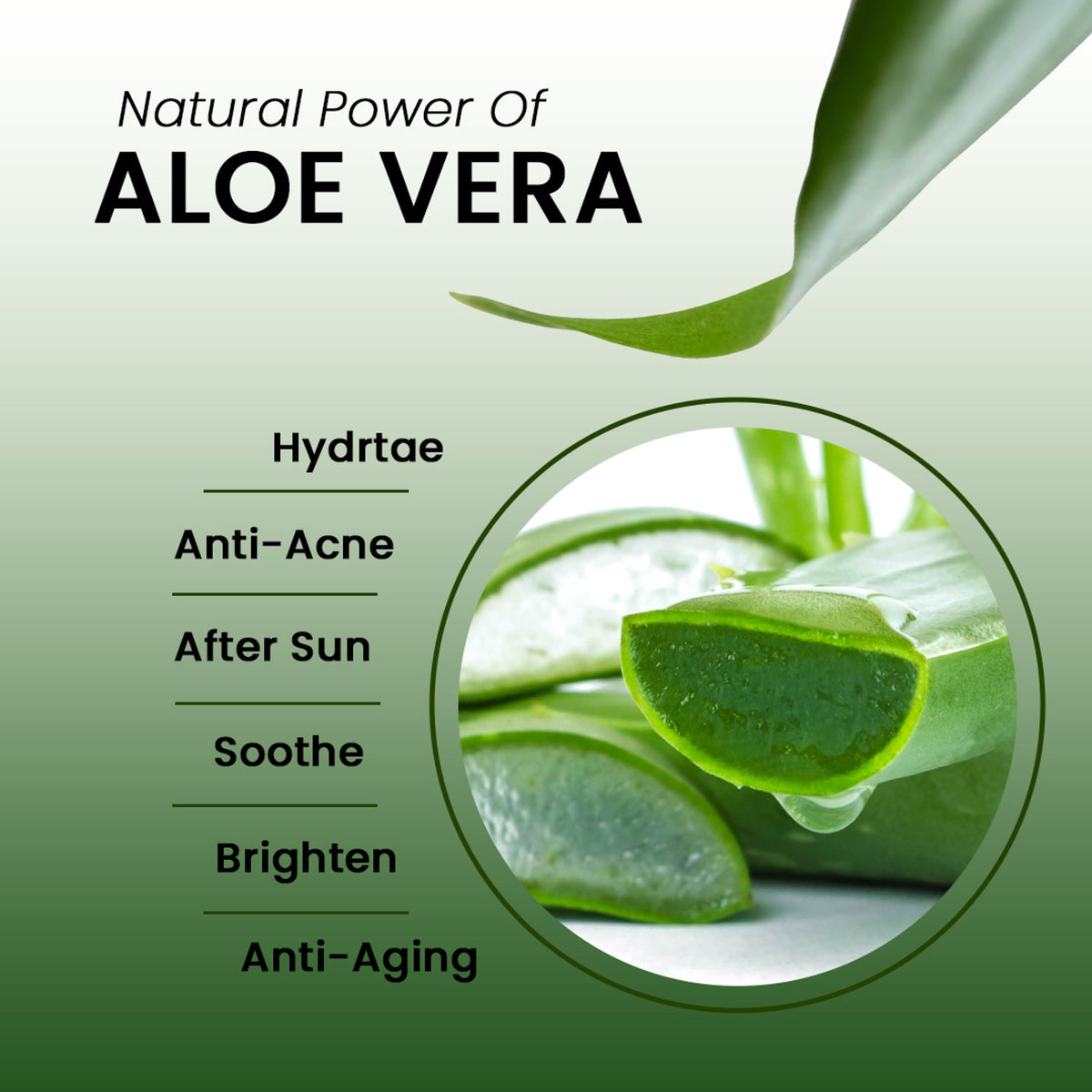 AromaMusk Aloe Vera Hydrating Gel with pure aloe vera and vitamin E, showing the gel in a clear container with fresh aloe leaves.