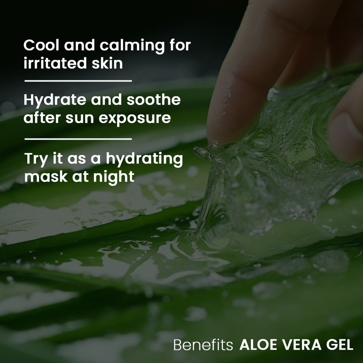 AromaMusk Aloe Vera Hydrating Gel with pure aloe vera and vitamin E, smooth gel in a clear jar with green leaves.