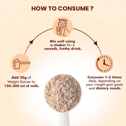 Dr. Morepen Weight Gainer - Chocolate Flavor