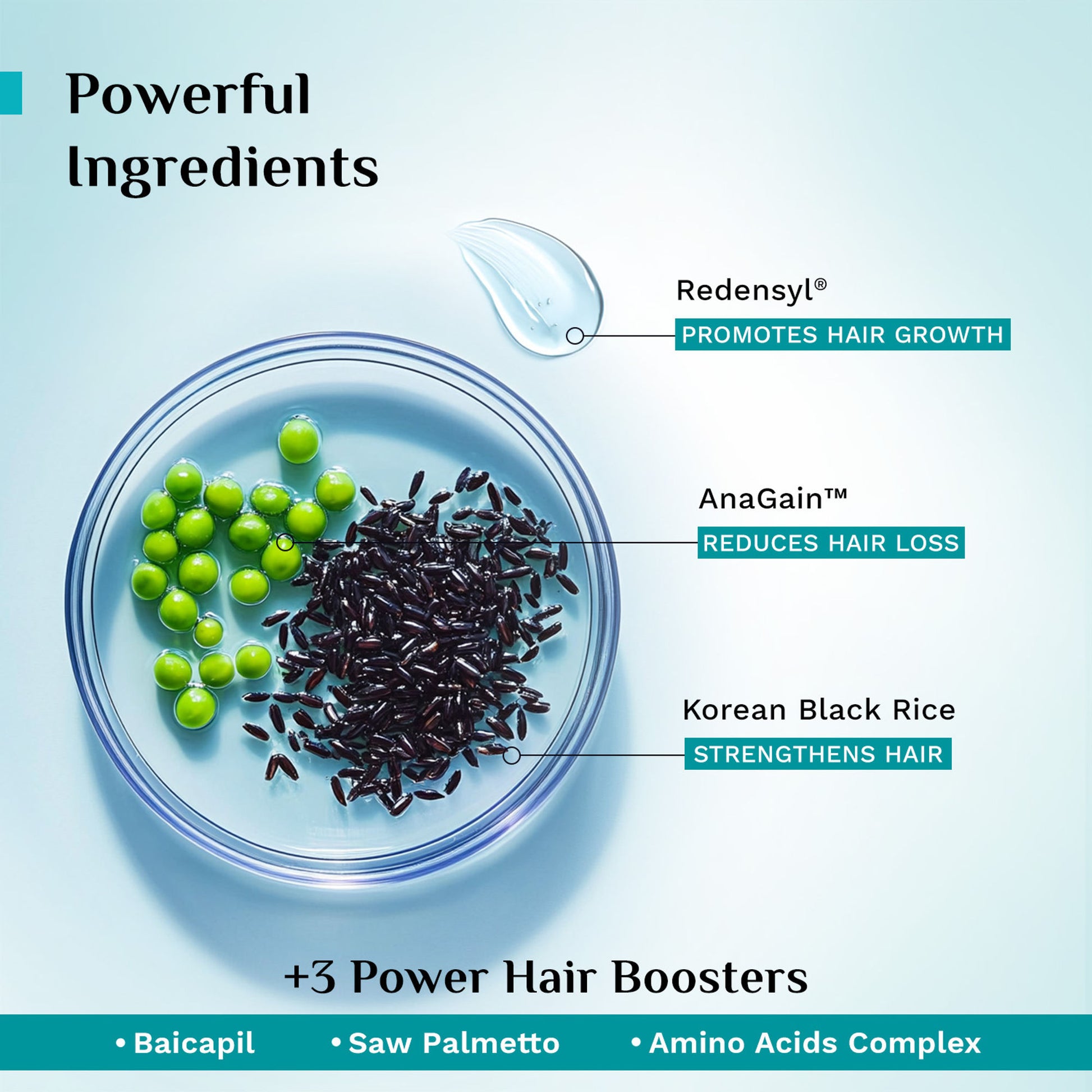 Pilgrim Redensyl & Anagain Hairfall Control Shampoo With Growth Boosters For Thick & Dense Hair