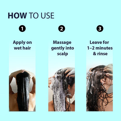 Dermistry Anti Dandruff Shampoo Piroctone Climbazole ZPTO for Oily Itchy Flaky Scalp Dry Frizzy Hair