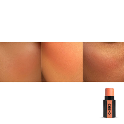 Renee Cosmetics Fab Face Nude