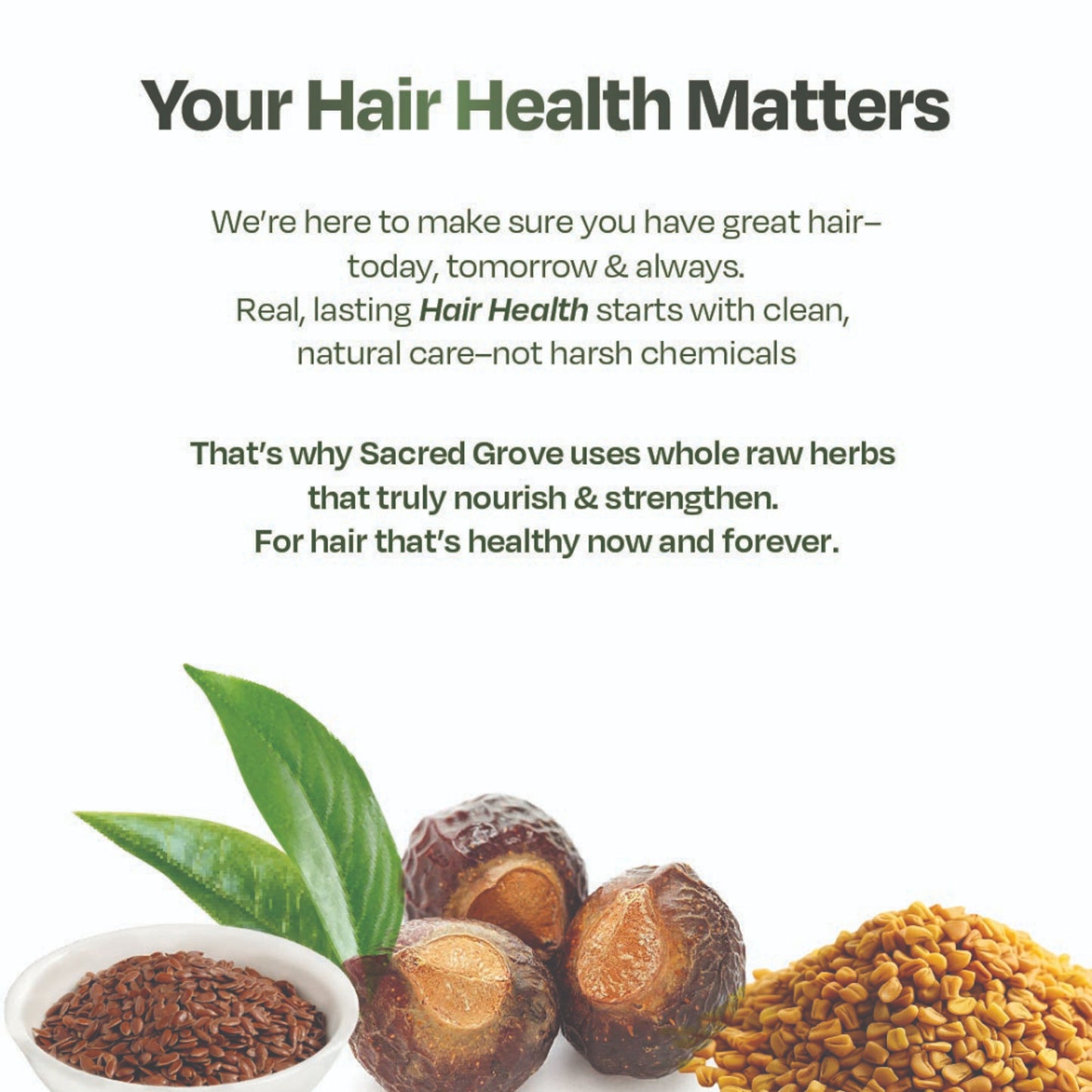 Sacred Grove Hair Cleanser with Reetha Argan Herbal Shampoo 100% Raw Herb No Chemicals (No Lather)