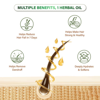 Niconi Herbal Hair Oil