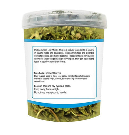 Zindagi Pudina Green Mint Dry Leaves