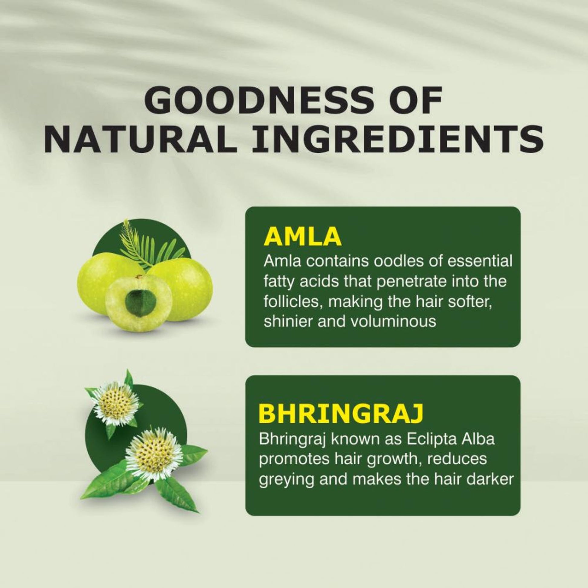 Nuerma Science Amla Bhringraj Hair Oil for Hair Growth, Hair Fall Control & Thicken Hair