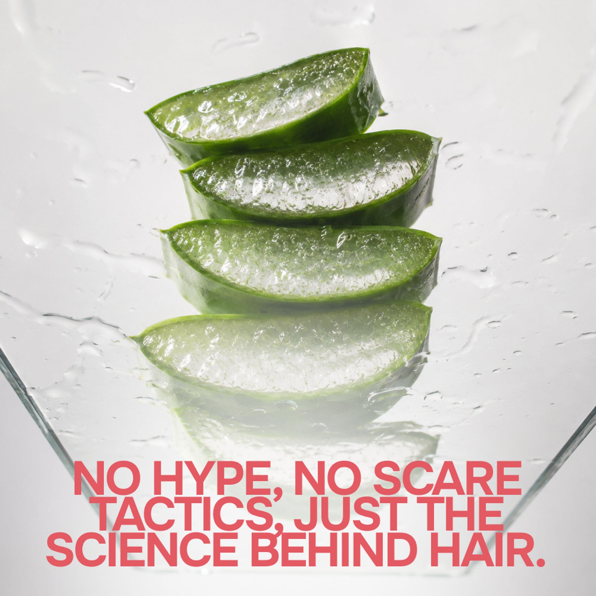 Eleganz Professional Ultra Hydrating Conditioner for Dry & Frizzy Hair