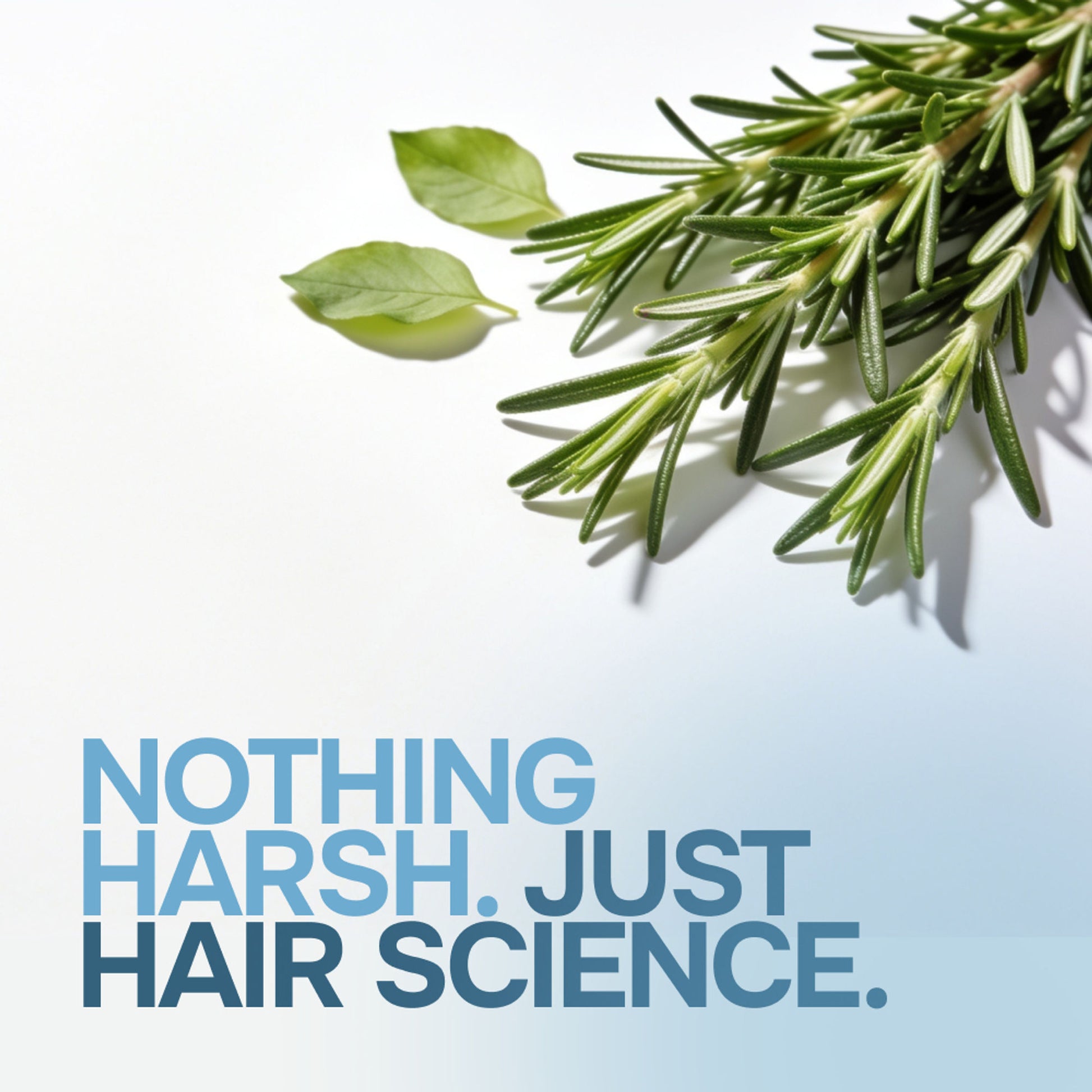 Eleganz Professional Multi Peptide AntiHairfall Shampoo-Rosemary reduces Hairfall, helps Hair Growth