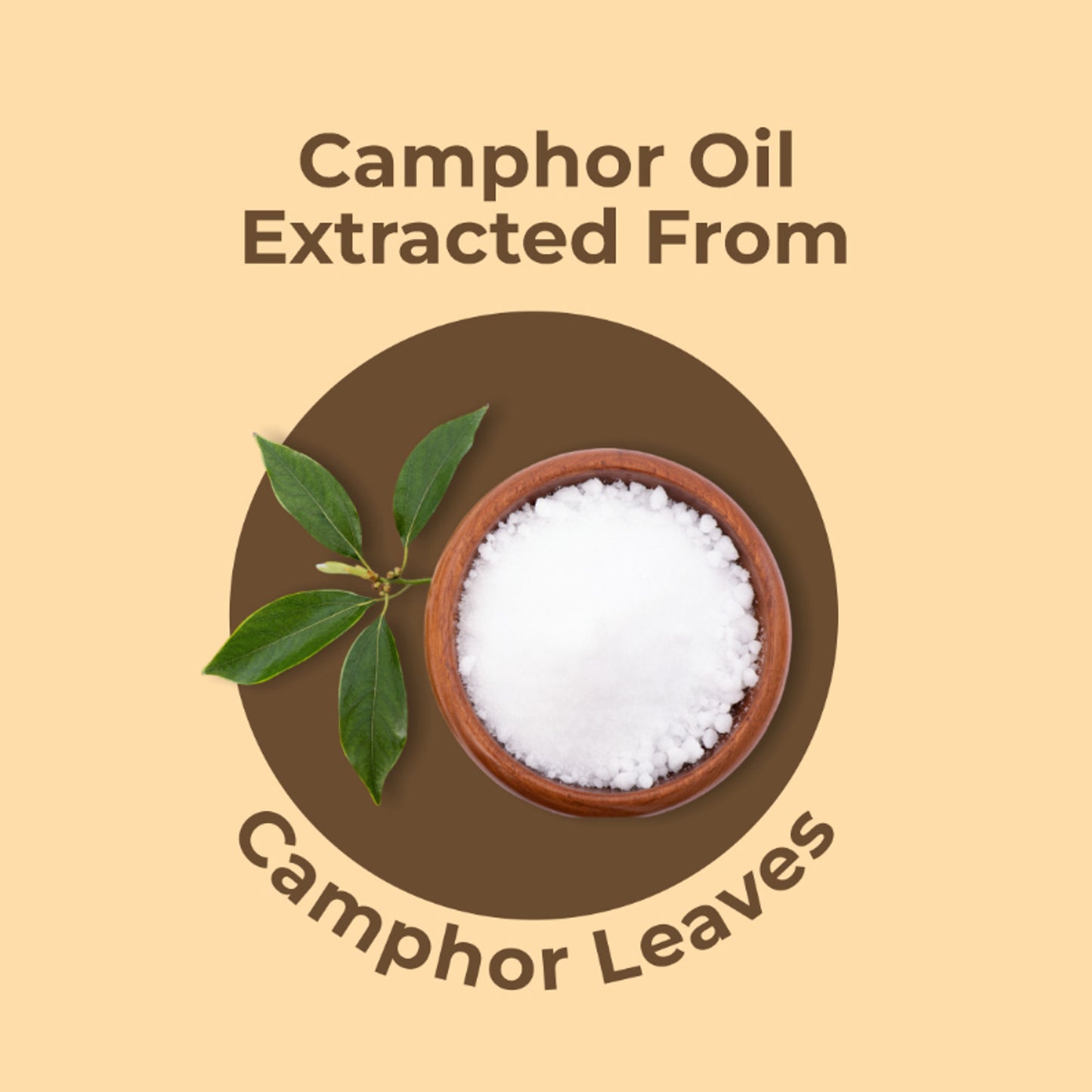 Skiura Nature 100% Natural Camphor Oil For Skin & Hair