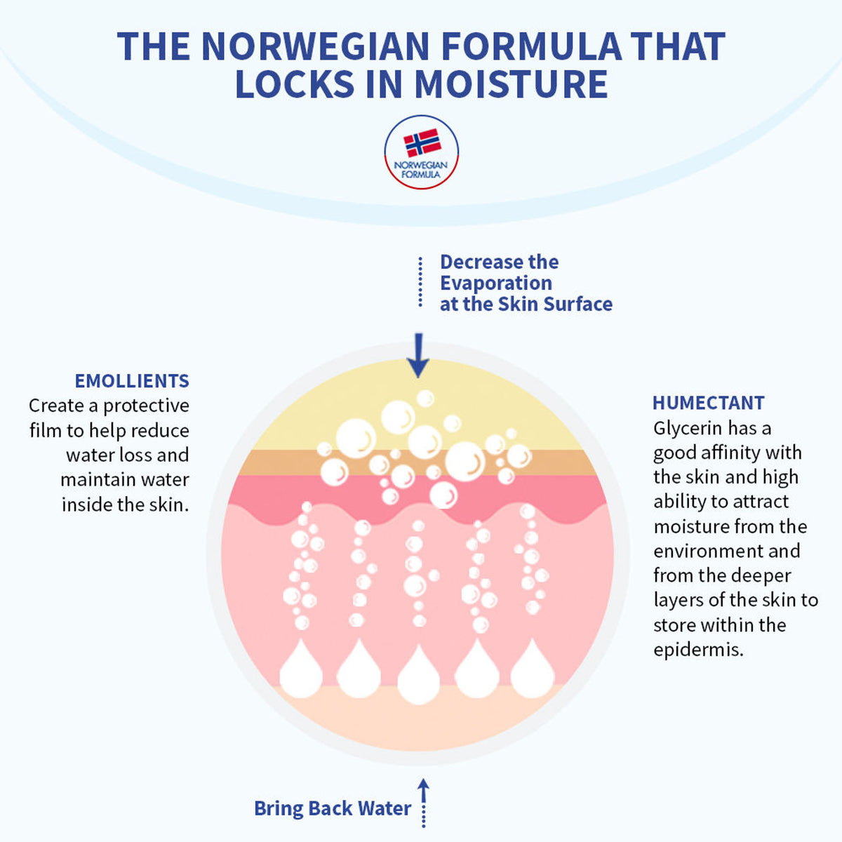Neutrogena Norwegian Formula Daily Moisturizing Body Lotion for Dry Skin